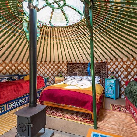 Hotel Pembrokeshire Yurts - Badger Llanfyrnach Zewnętrze zdjęcie