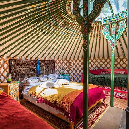 Hotel Pembrokeshire Yurts - Badger Llanfyrnach Zewnętrze zdjęcie