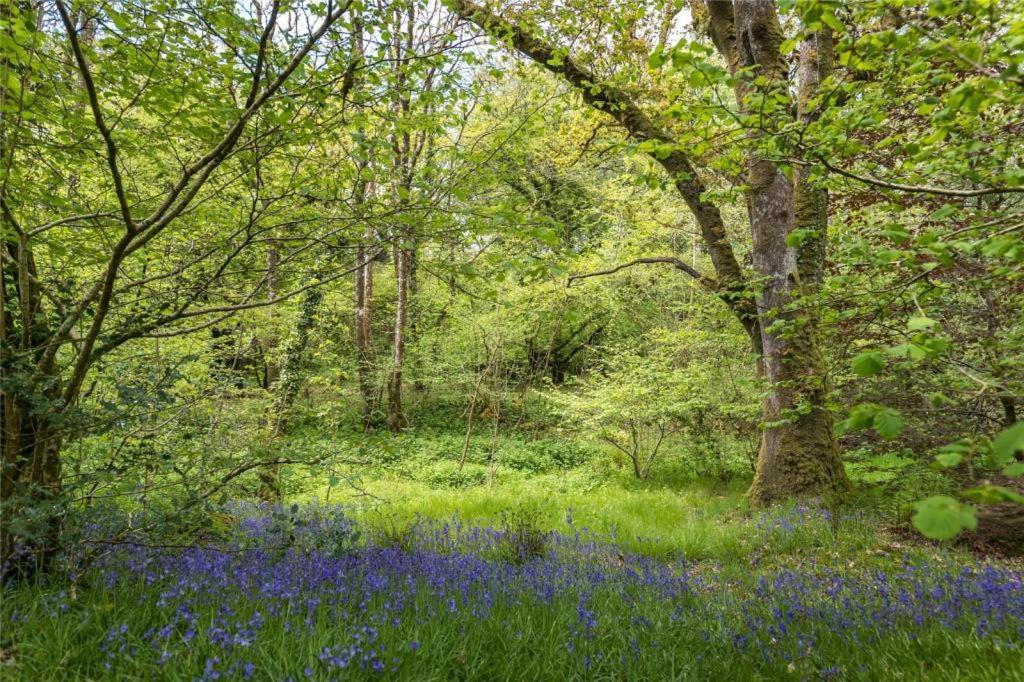 Hotel Pembrokeshire Yurts - Badger Llanfyrnach Zewnętrze zdjęcie