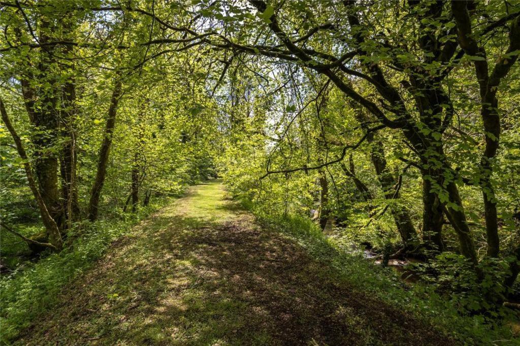 Hotel Pembrokeshire Yurts - Badger Llanfyrnach Zewnętrze zdjęcie