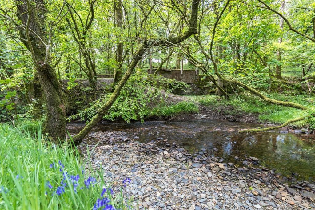 Hotel Pembrokeshire Yurts - Badger Llanfyrnach Zewnętrze zdjęcie