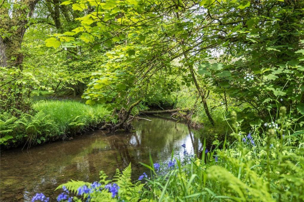 Hotel Pembrokeshire Yurts - Badger Llanfyrnach Zewnętrze zdjęcie