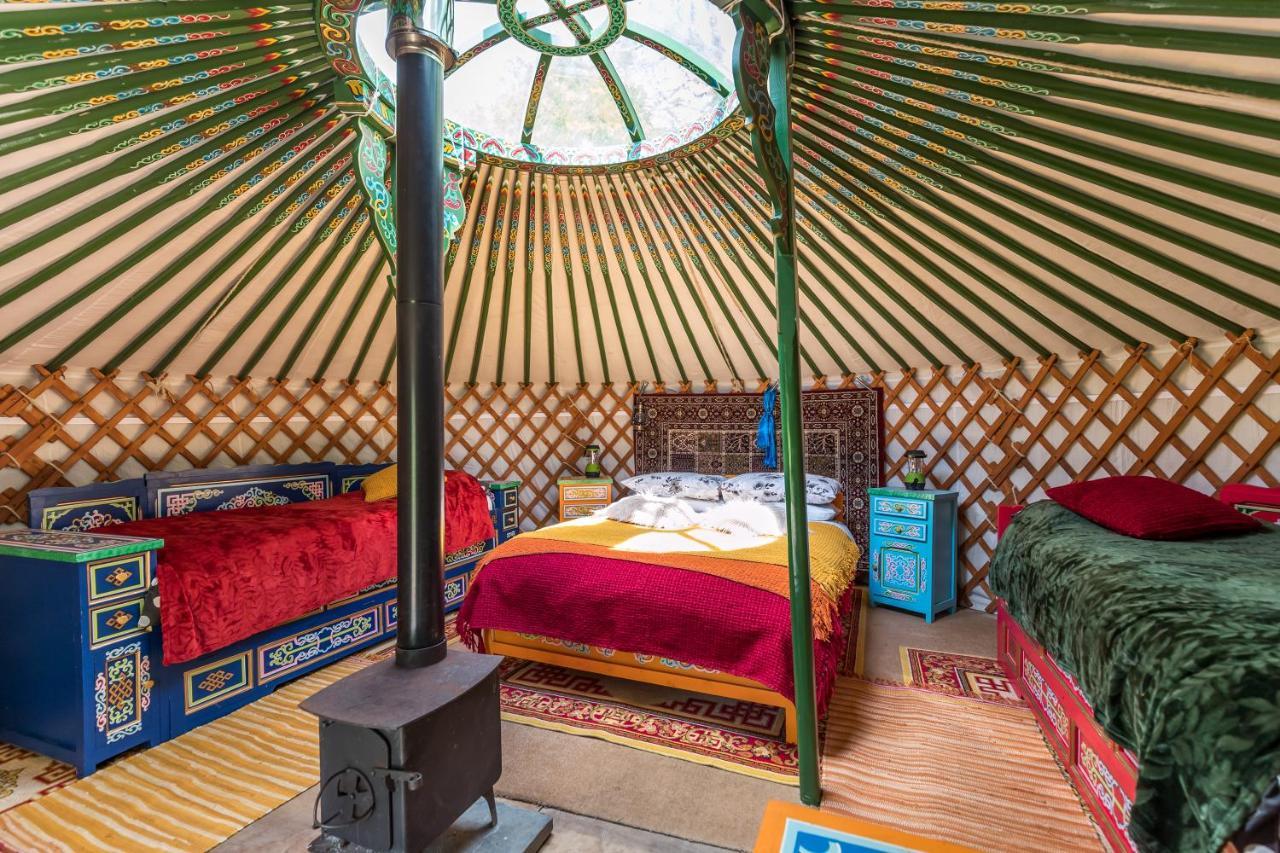 Hotel Pembrokeshire Yurts - Badger Llanfyrnach Zewnętrze zdjęcie