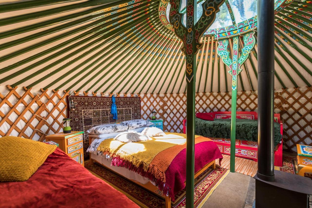 Hotel Pembrokeshire Yurts - Badger Llanfyrnach Zewnętrze zdjęcie